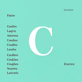 Nomes femininos com a letra c: Lista com Ideias e Significados