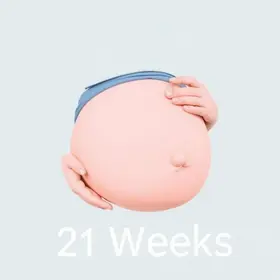 Tamanho do Bebê na 21ª Semana de Gravidez: O Que Saber