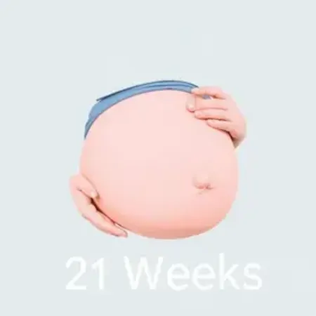 Tamanho do Bebê na 21ª Semana de Gravidez: O Que Saber