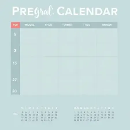 Calendário de pré-natal mês a mês: Guia Completo para Mães e Famílias
