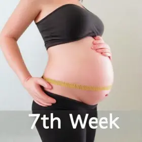 Tamanho do Bebê na 7ª Semana de Gravidez: O Que Saber