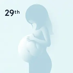 Tamanho do Bebê na 29ª Semana de Gravidez: O Que Saber
