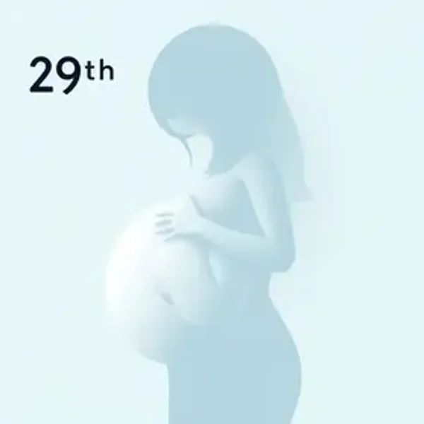 Tamanho do Bebê na 29ª Semana de Gravidez: O Que Saber