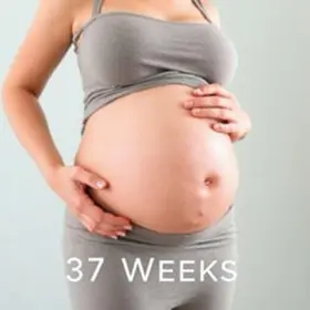 Tamanho do Bebê na 37ª Semana de Gravidez: O Que Saber