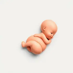 Tamanho do Bebê na 12ª Semana de Gravidez: O Que Saber