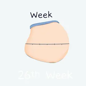 Tamanho do Bebê na 26ª Semana de Gravidez: O Que Saber