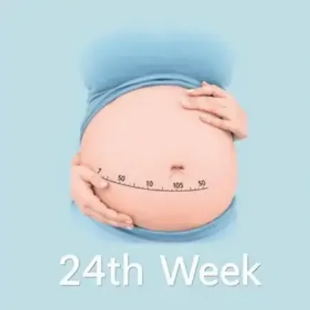 Tamanho do Bebê na 24ª Semana de Gravidez: O Que Saber